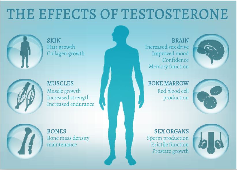 Testosterone chart