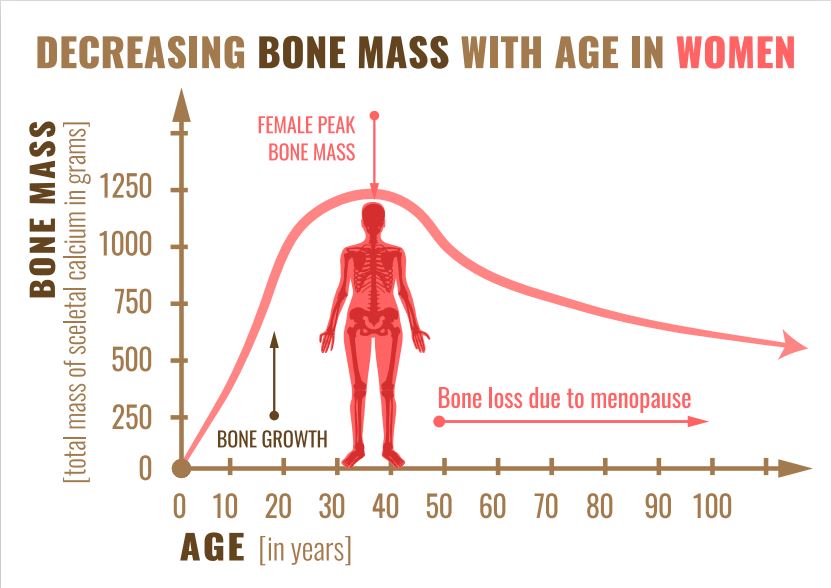 Bone Mass Graph